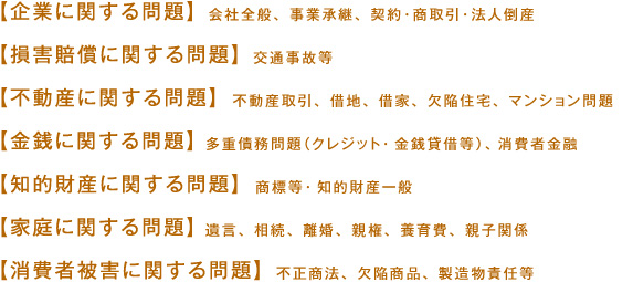 �y��ƂɊւ�����z��БS�ʁA���Ə��p�A�_��E������E�@�l�|�Y �y���Q�����Ɋւ�����z��ʎ��̓� �y�s���Y�Ɋւ�����z�s���Y����A�ؒn�A�؉ƁA���׏Z��A�}���V������� �y���K�Ɋւ�����z���d�����i�N���W�b�g�E���K�ݎؓ��j�A����ҋ��Z �y�m�I���Y�Ɋւ�����z���W���E�m�I���Y��� �y�ƒ�Ɋւ�����z�⌾�A�����A�����A�e���A�{���A�e�q�֌W �y����Ҕ�Q�Ɋւ�����z�s�����@�A���׏��i�A�������ӔC��